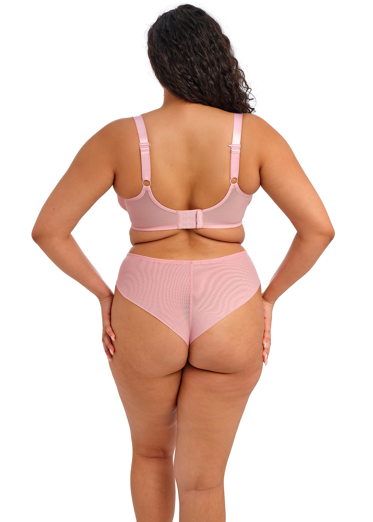 EL303602 Aerith Rose