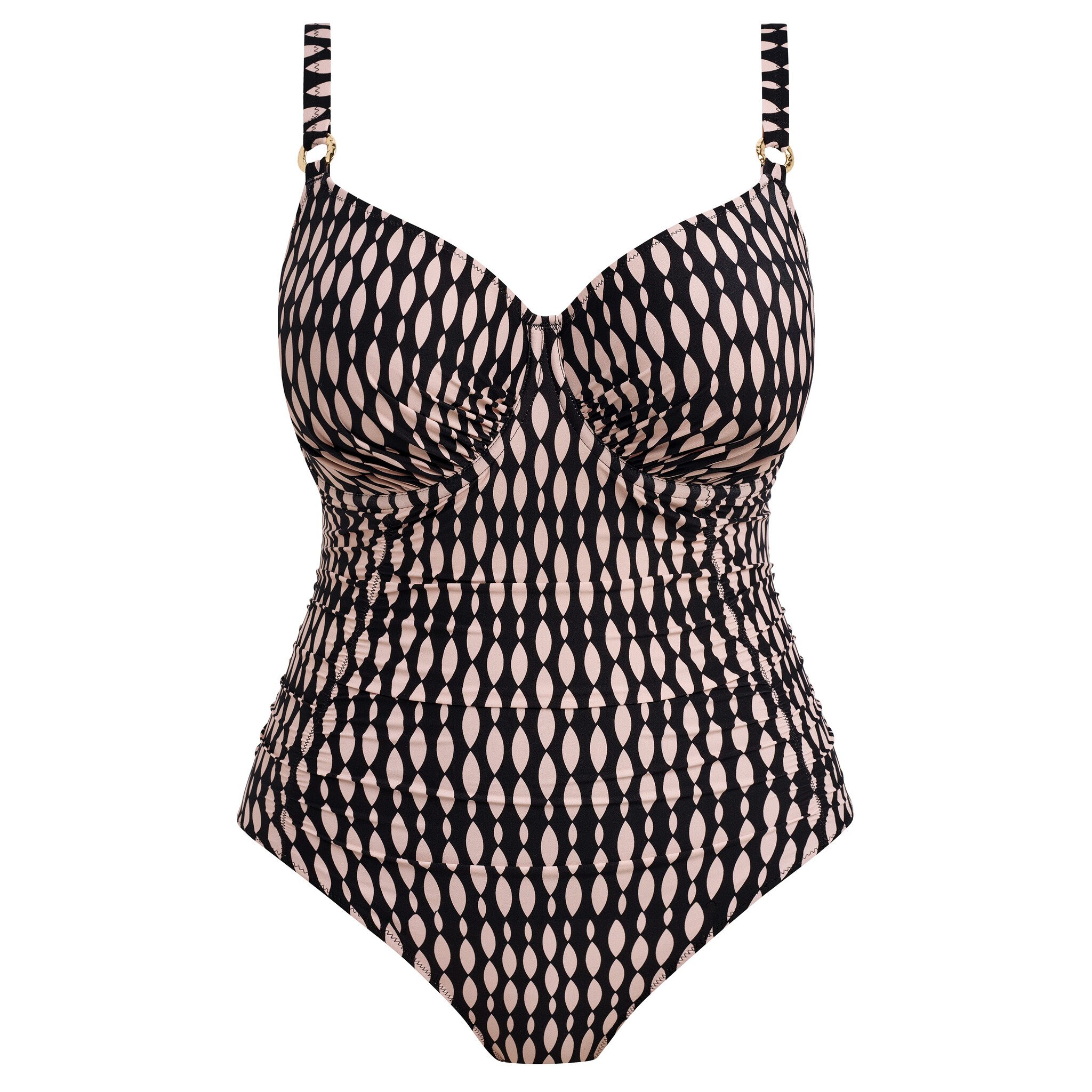 FS506937 Shell Bay DEB