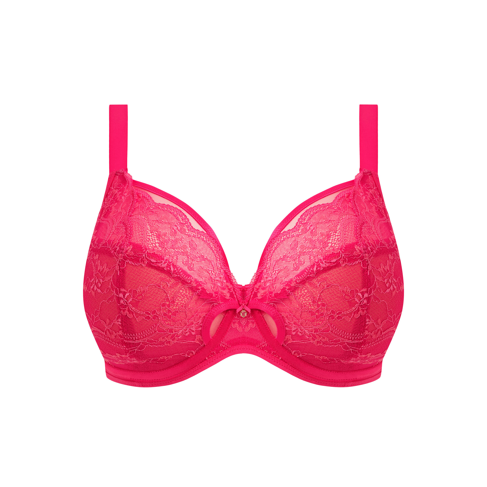 EL302902 Darcie Azalea