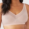 852336 Elevated Allure Sans armatures