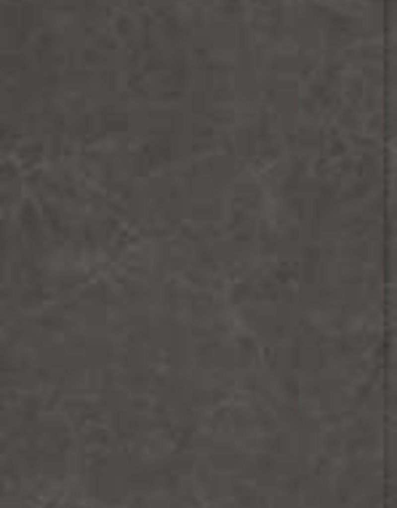 ESV Student Study Bible , TruTone, Gray