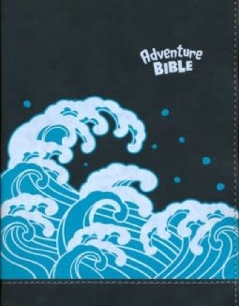 NIV Adventure Bible, Imitation Leather, Gray