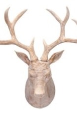 Deer bust 18.5" Resin