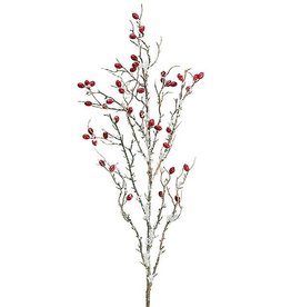 Pick/Spray Snowy Berry Branches