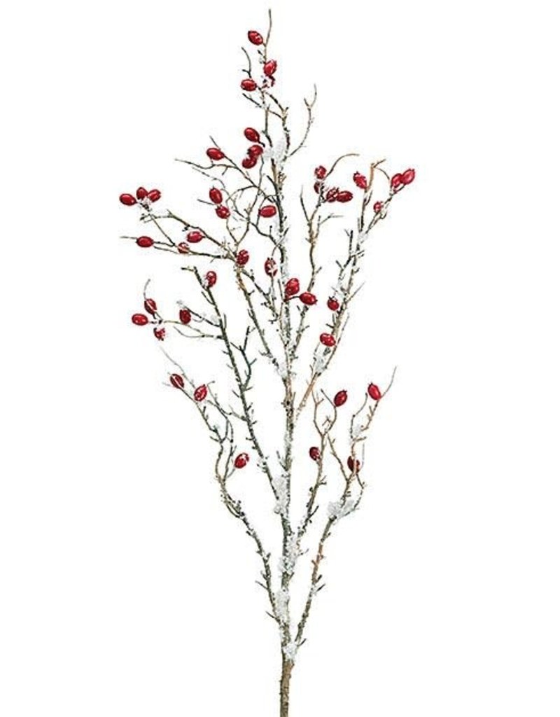 Pick/Spray Snowy Berry Branches