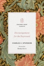 Encouragement for the Depressed