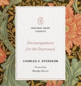 Encouragement for the Depressed