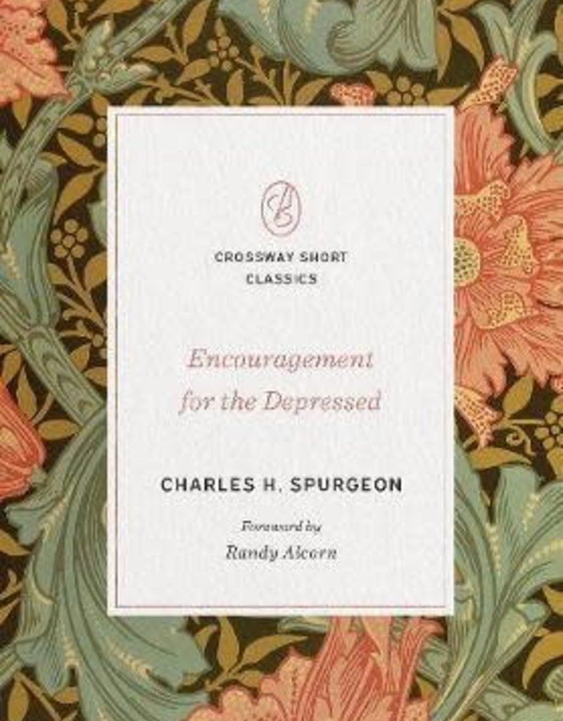 Encouragement for the Depressed