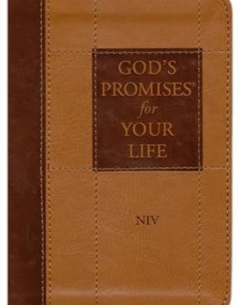 GODS PROMISES FOR YOUR LIFE ( NIV)