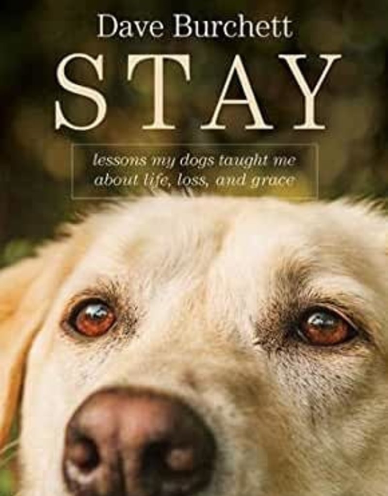 STAY : LESSONS MY DOGS TAUGHT ME ABOUT LIFE LOSS A