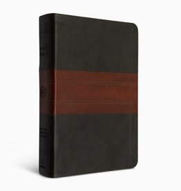 ESV Large-Print Personal-Size Bible--forest/tan with trail design