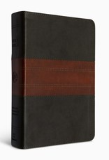 ESV Large-Print Personal-Size Bible--forest/tan with trail design