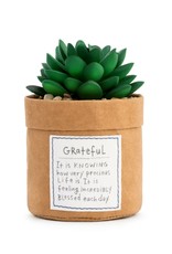 Plant Kindness - Grateful