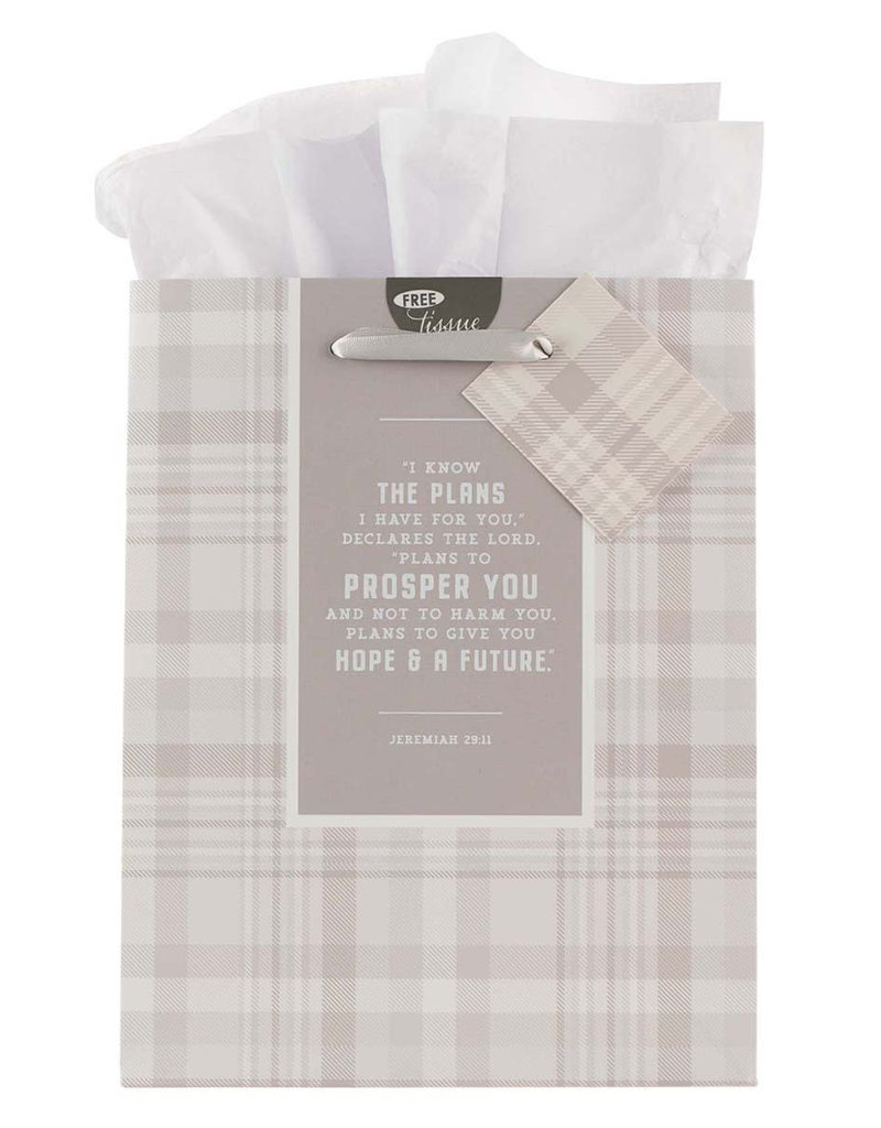 I Know the Plans Gray Plaid Medium Gift Bag