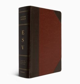 STUDY BIBLE, LARGE Print Trutone Brown/Cordovan Portfolio
