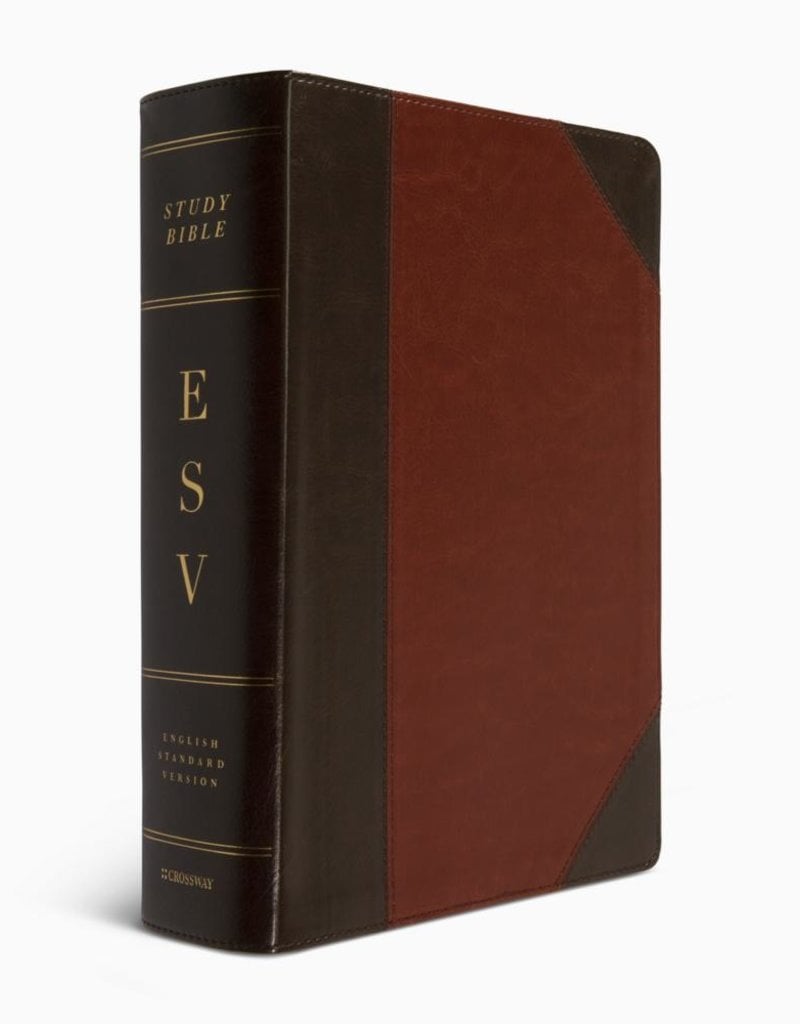 STUDY BIBLE, LARGE Print Trutone Brown/Cordovan Portfolio
