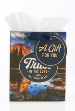 Gift Bag-Trust In The Lord w/Tag & Tissue-Extra Small