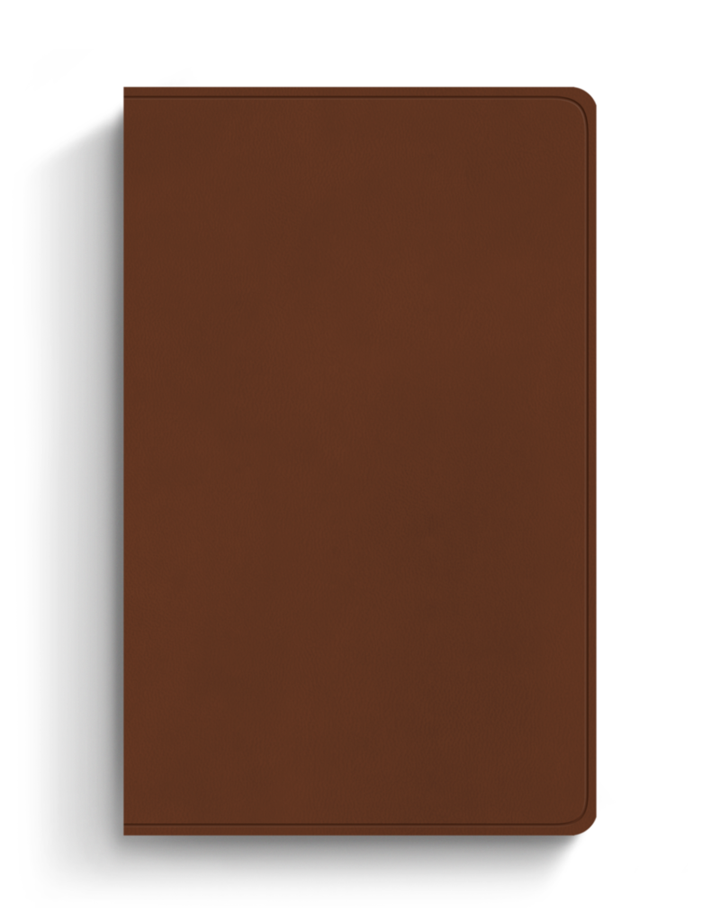 ESV Large Print Value Thinline Bible, Camel