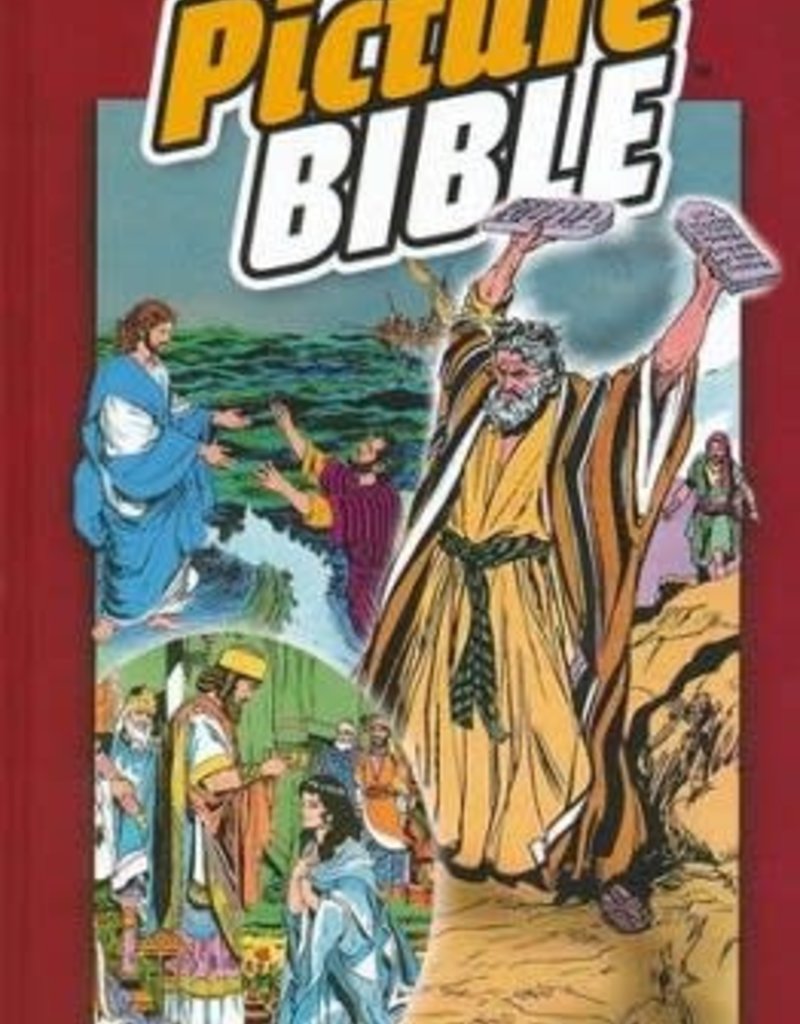 The Picture Bible-Hardcover