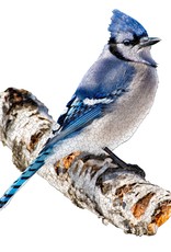 Madd Capp Puzzle - I AM Blue Jay (300)