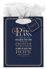 Gift Bag-The Plans w/Tag & Tissue-Medium