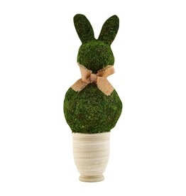 SMALL PRESERVED MOSS BUNNY POT