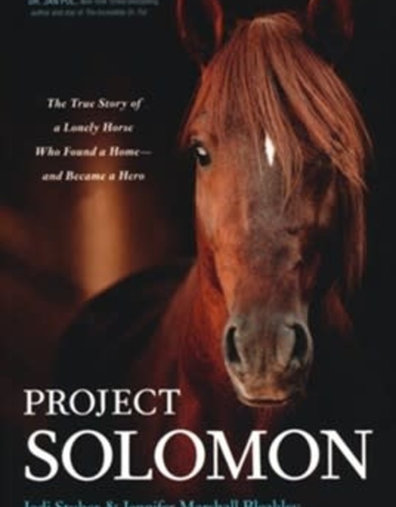 Project Solomon