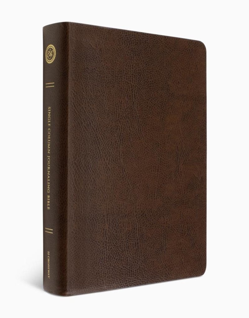 JOURNALING BIBLE,  SINGLE COLUMN, LARGE PRINT, Bonded Leather, Mocha