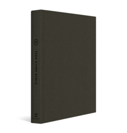 ESV Teen Study Bible TruTone®, Burnt Sienna