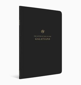 SCRIPTURE JOURNAL GALATIANS