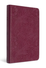 ESV Value Thinline Bible  TruTone®, Raspberry, Floral Design