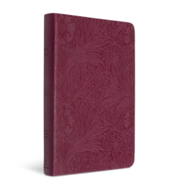 ESV Value Thinline Bible  TruTone®, Raspberry, Floral Design