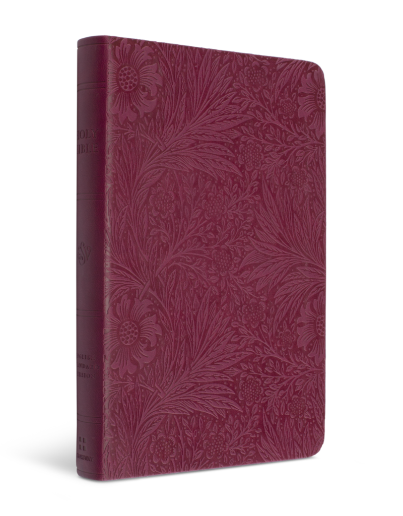 ESV Value Thinline Bible  TruTone®, Raspberry, Floral Design