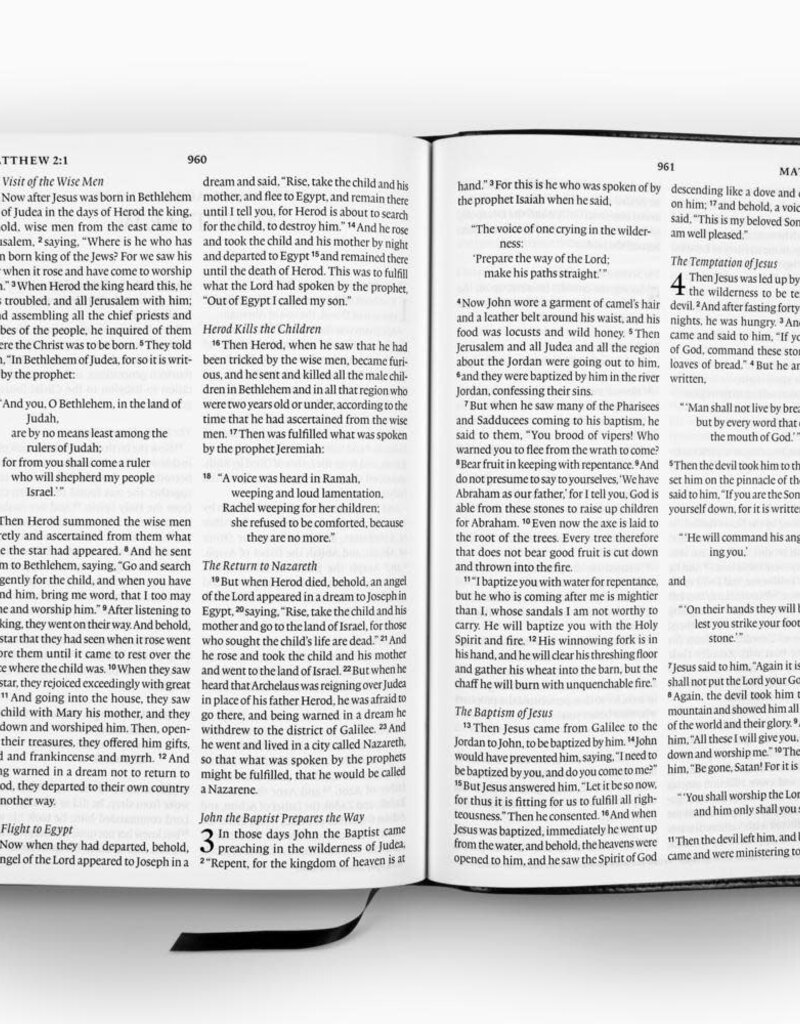 ESV Large Print Bible  TruTone®, Black