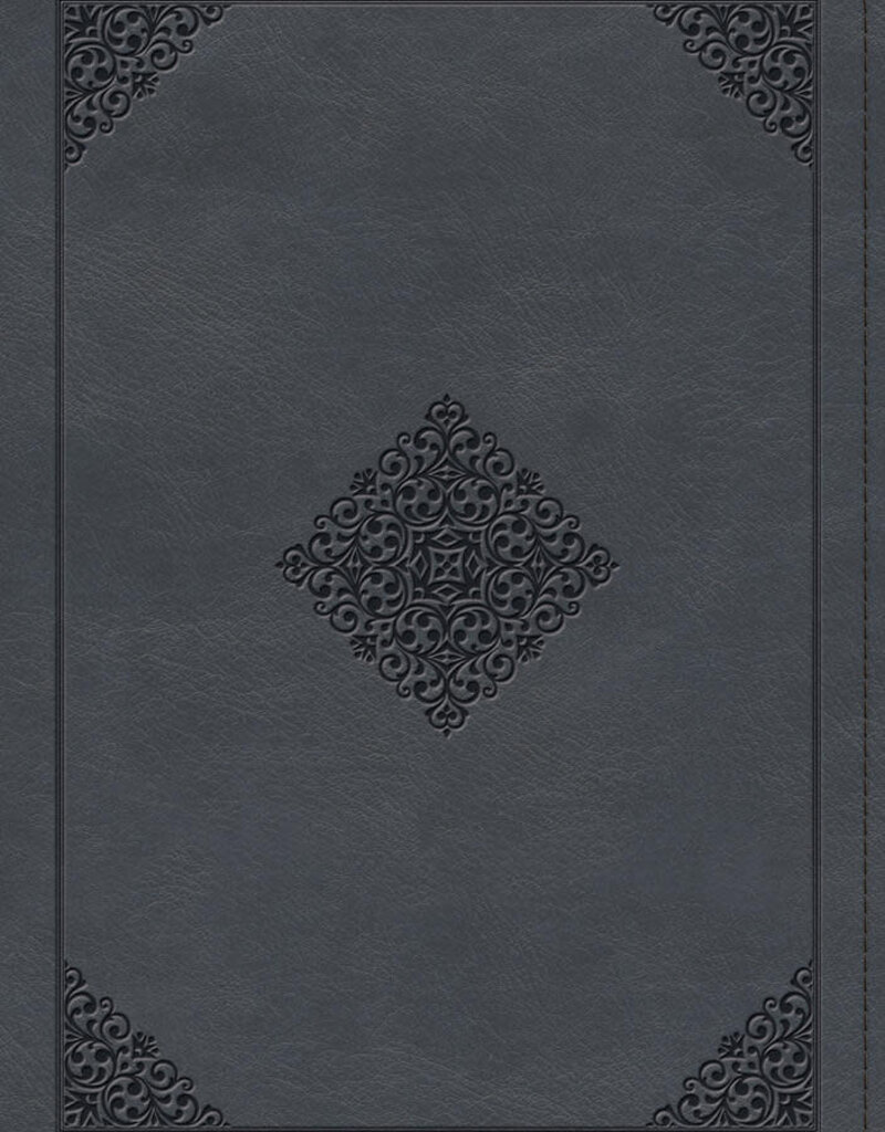 ESV Large Print Wide Margin Bible  TruTone®, Slate Blue, Ornament Design