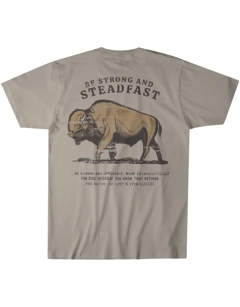 Be Strong & Steadfast Buffalo Tee