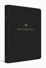 Scripture Journal: Deuteronomy