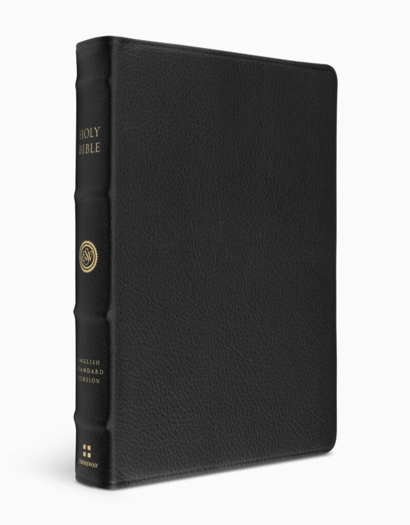 ESV Verse-By-Verse Reference Bible-Black Top Grain Leather