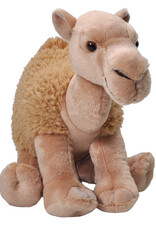 CAMEL DROMEDARY