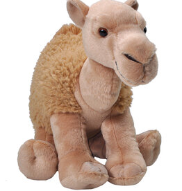 CAMEL DROMEDARY