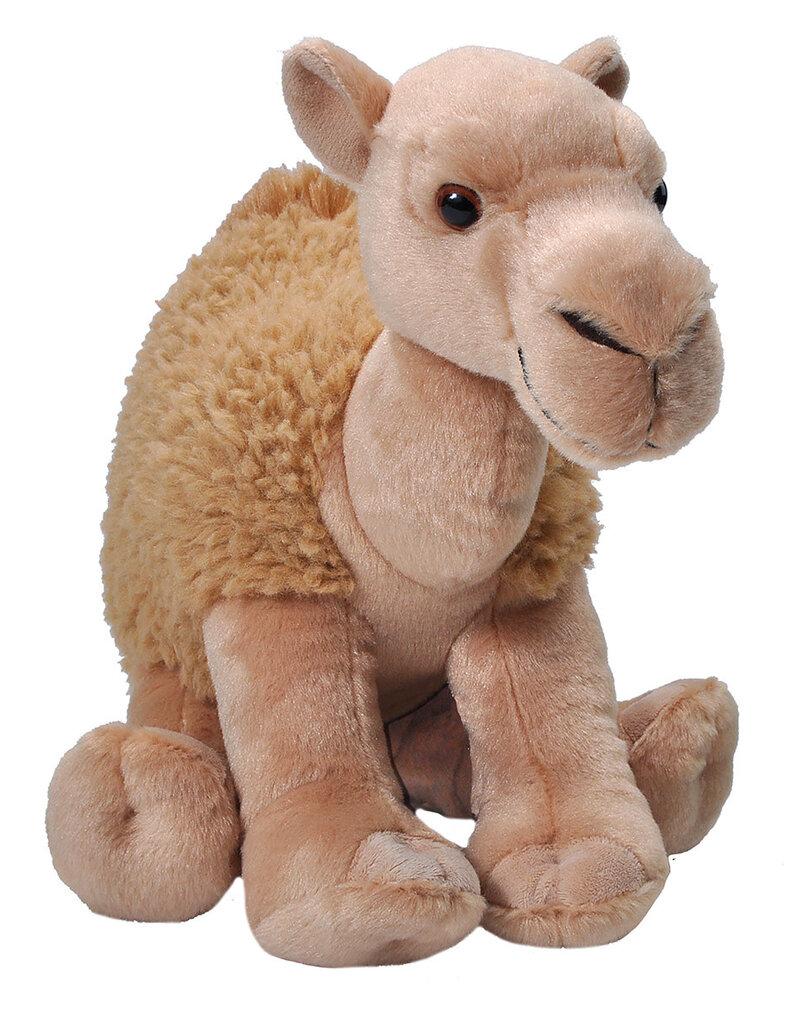 CAMEL DROMEDARY