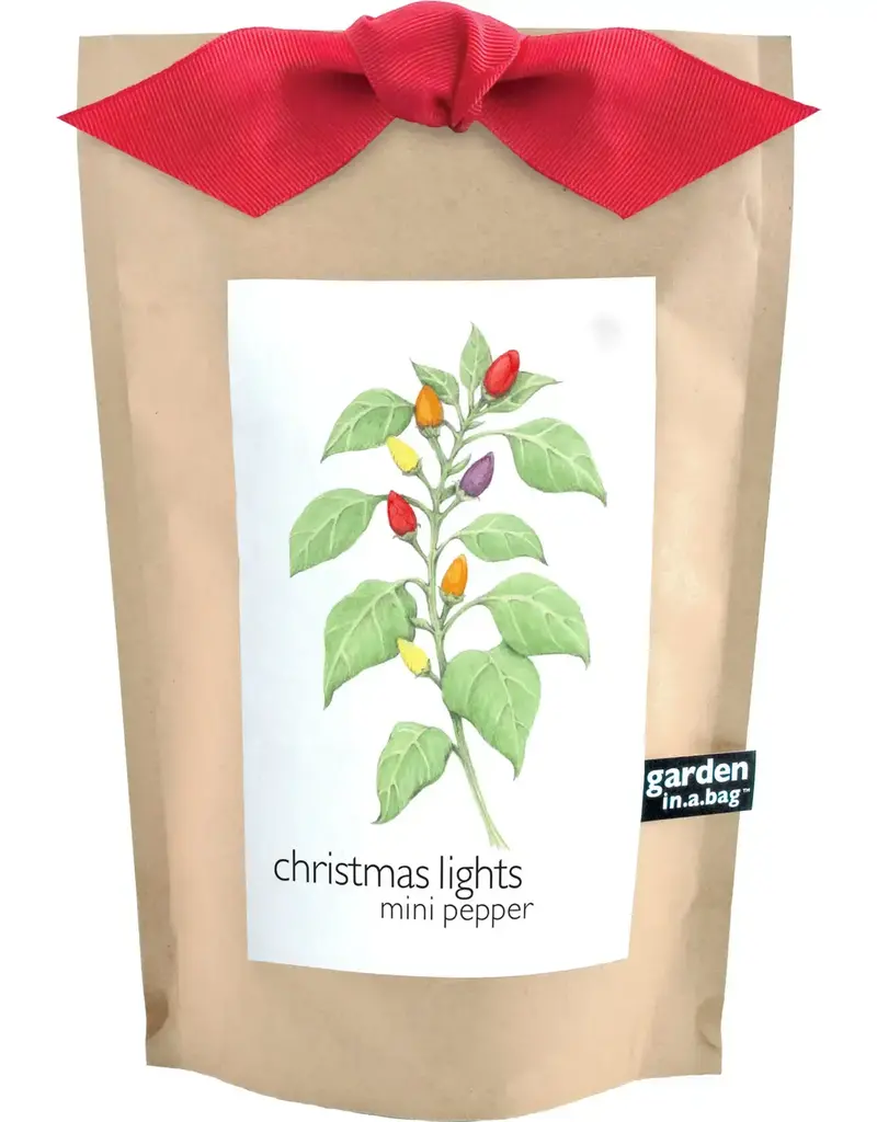 Garden in A Bag | Christmas Lights Peppers
