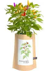 Garden in A Bag | Christmas Lights Peppers