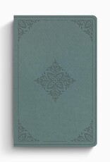 ESV Value Thinline Bible  TruTone®, Paris Sky, Fleur-de-lis Design