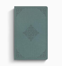 ESV Value Thinline Bible  TruTone®, Paris Sky, Fleur-de-lis Design