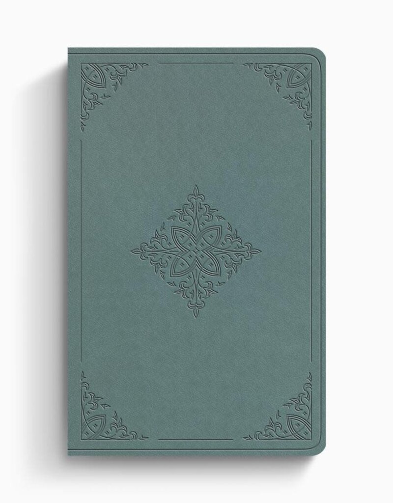ESV Value Thinline Bible  TruTone®, Paris Sky, Fleur-de-lis Design