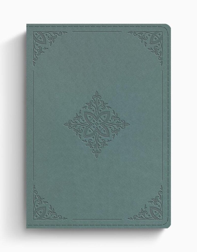 ESV Chronological Bible  TruTone, Paris Sky, Fleur-de-lis Design