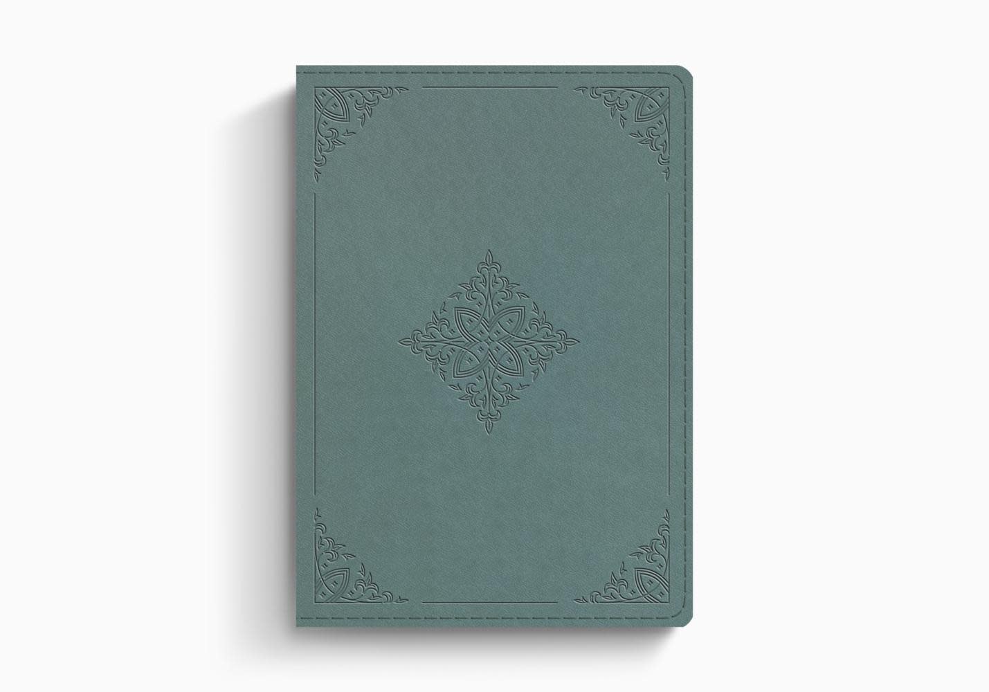 ESV Chronological Bible TruTone, Paris Sky, Fleurdelis Design