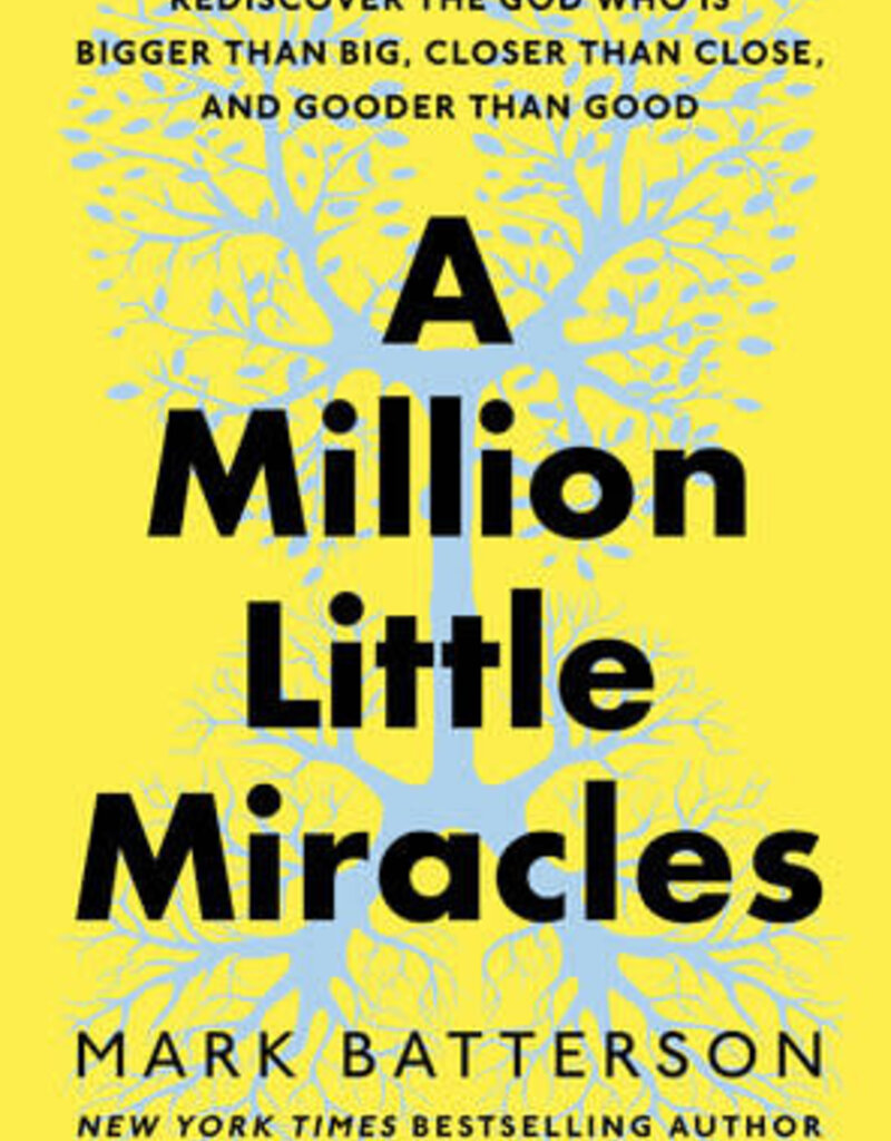 A Million Little Miracles