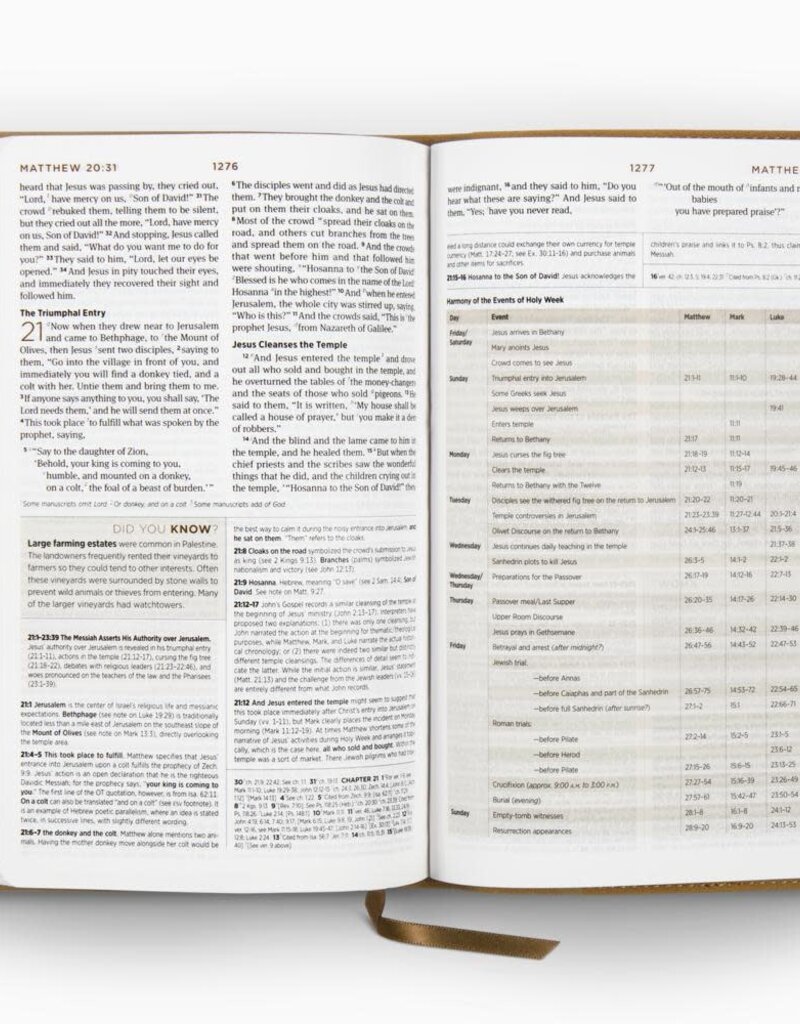 ESV Student Study Bible®  TruTone®, Nubuck Caramel, Wildflower Design